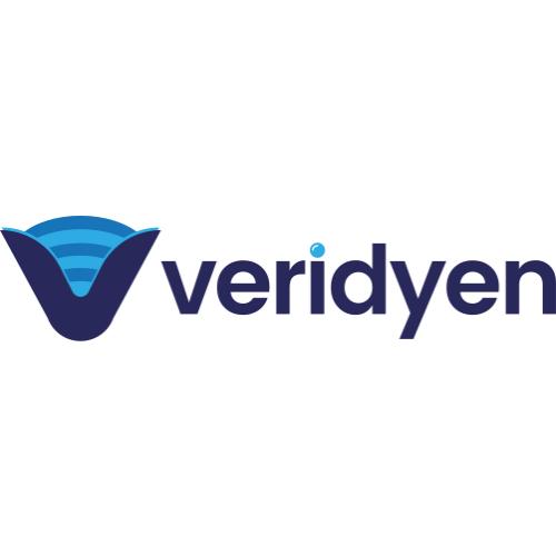 veridyen.com Logo