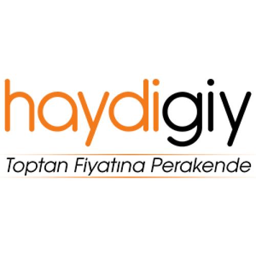 haydigiy.com Logo